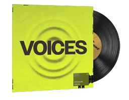 Tema musicale StatTrak™ | ShockOne, Voices