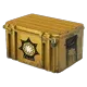 CASES