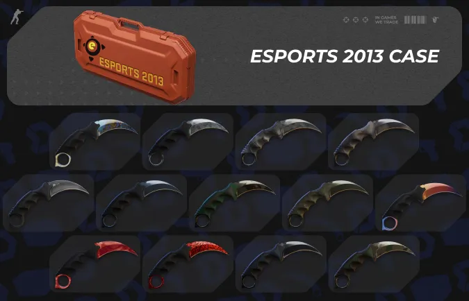 eSports 2013 case cs2