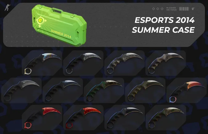 eSports 2014 Summer case cs2