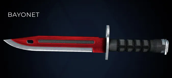 Bayonet knife in cs2