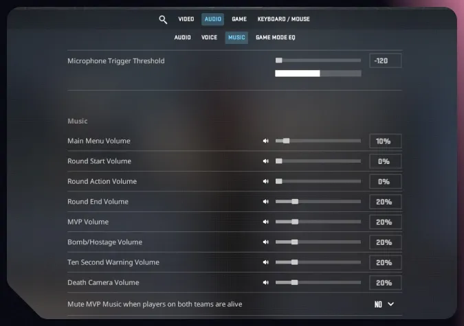 music settings in cs2
