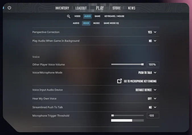voice settings in cs2