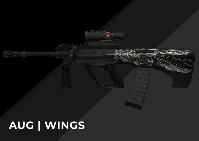 AUG Wings