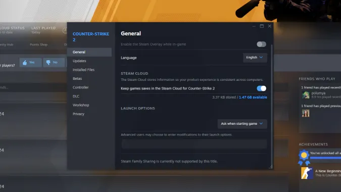 launch options in cs2
