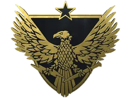 Anstecknadel: Brigadier General