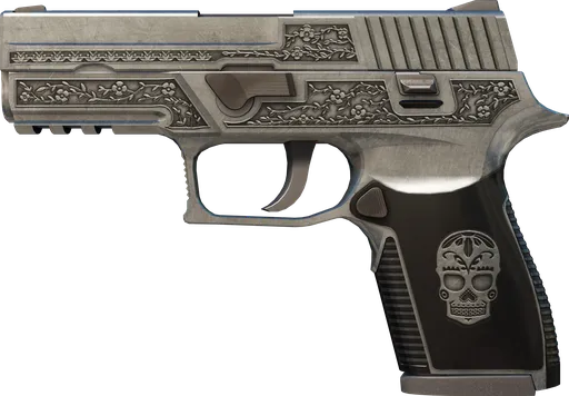 P250 Cartel CS2 Skin