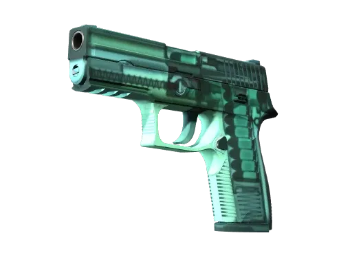 P250 X-Ray CS2 Skin