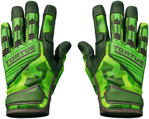 Lime Polycam