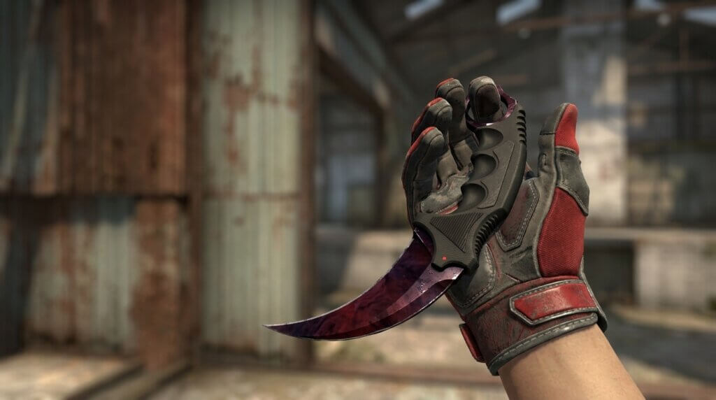 Best Doppler Knife and Glove Combos in CS2