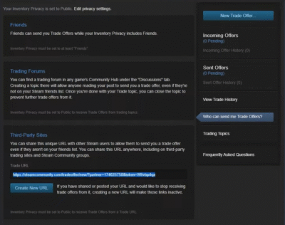Trade Offers Steam: Send to Friends & Non-Friends