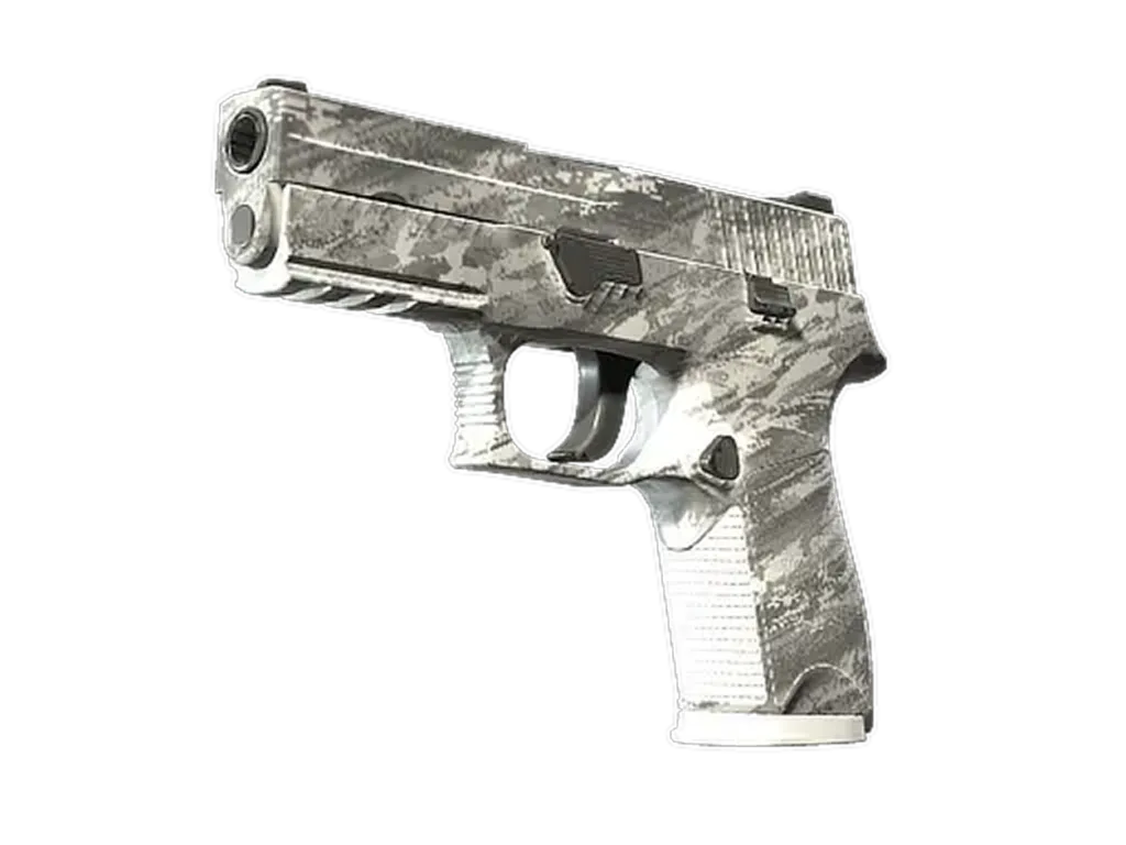 P250 | Sleet